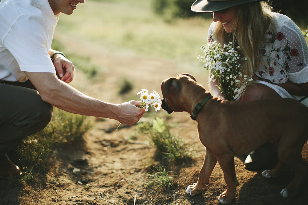 Max-Patch-Engagement-Session066